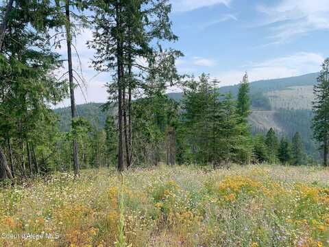 Nka Mystery Moose Ln, Priest River, ID 83856