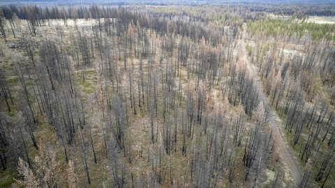 Nf 4464 Rd, Sprague River, OR 97639