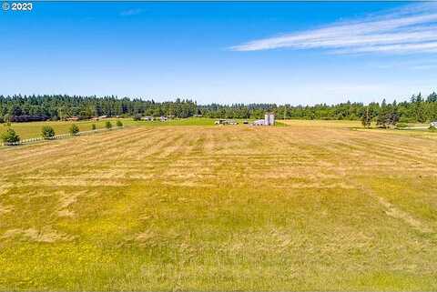 Ne 167Th Ave, Brush Prairie, WA 98606