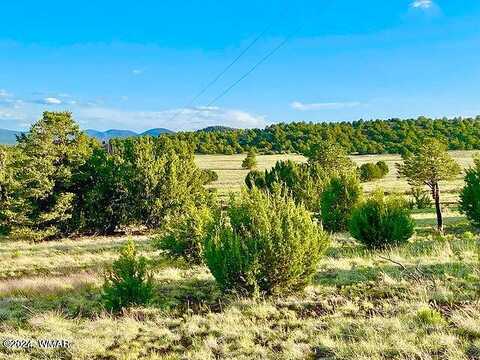 N3208 Lot D 9.81 Acres, Vernon, AZ 85940