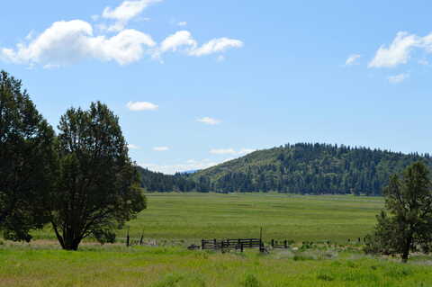 Murrelet Road, Klamath Falls, OR 97601