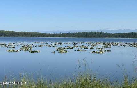 Multi Pcls Unnamed Lake (No Road), Wasilla, AK 99654