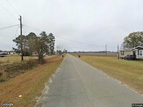 Mount Pleasant Church Rd, Pineview, GA 31071