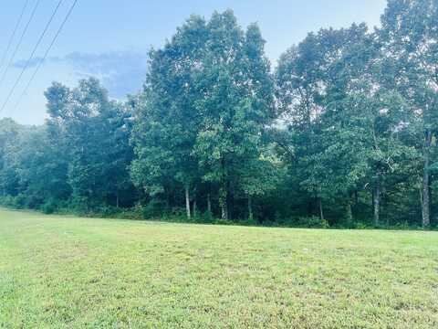 Minnow Rd, Waverly, TN 37185