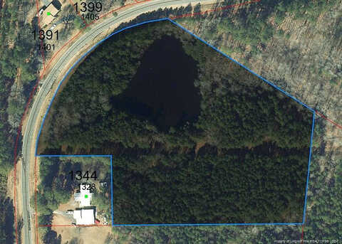 Lower Moncure Road, Sanford, NC 27330