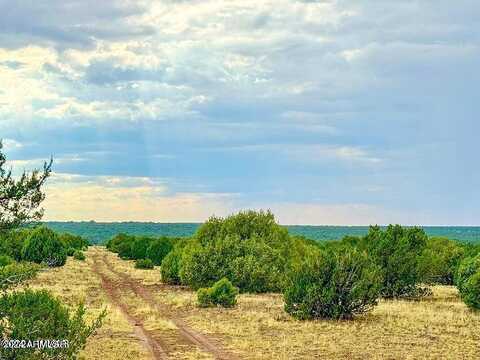 Lot K Silver Lake Blvd 80.61 A --, Show Low, AZ 85901