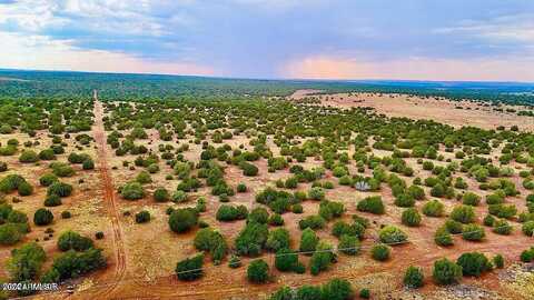 Lot J Silver Lake Blvd 81.51 A --, Show Low, AZ 85901