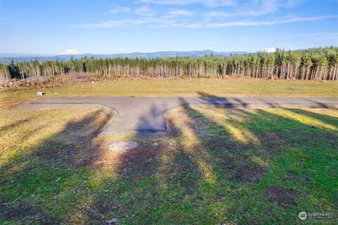 Lot I Silverwood Drive, Castle Rock, WA 98611