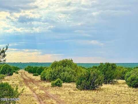 Lot C-4 Silver Lake 14 Acres --, Show Low, AZ 85901