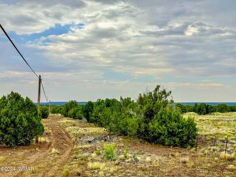 Lot C-4 Silver Lake 14 Acres, Show Low, AZ 85901