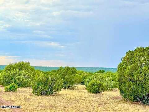 Lot C-1 Silver Lake 8.16 Acres --, Show Low, AZ 85901