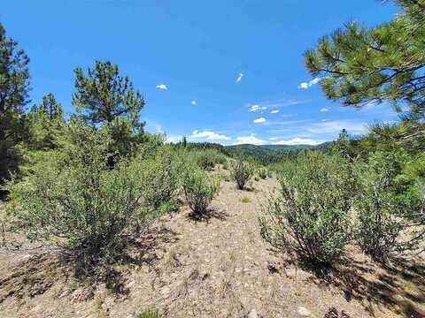 Lot 8 North Rito Hondo Court, Antonito, CO 81120