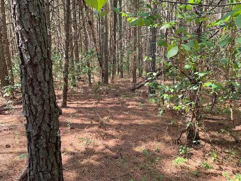 Lot 79 River Drive, Spencer, TN 38585