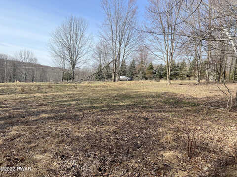 Lot 701 Black Bear Road, Lake Ariel, PA 18436