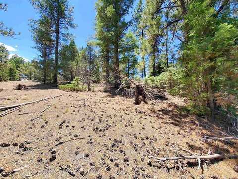 Lot 7 North Rito Hondo Court, Antonito, CO 81120