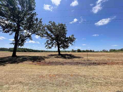 Lot 7 County Road 3807, Bullard, TX 75757