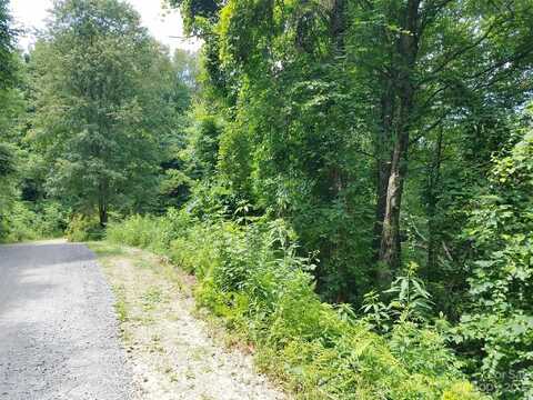 Lot 63 Hunters Ridge Road, Canton, NC 28716