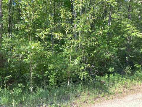 Lot 58 Birch Street, Gladwin, MI 48624