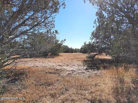 Lot 564A Caliente Winds Way, Seligman, AZ 86337