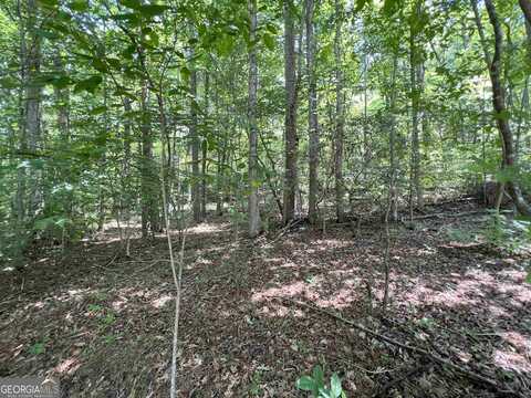 Lot 5 Sautee Ridge Rd, Clarkesville, GA 30523