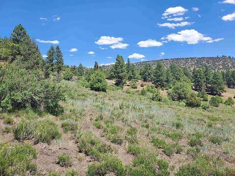 Lot 5 North Rito Hondo Court, Antonito, CO 81120