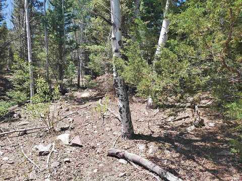 Lot 4B South Rio Hondo Court, Antonito, CO 81120