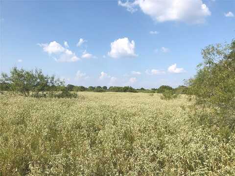 Lot 4-B Wild Plum Road, Lockhart, TX 78644