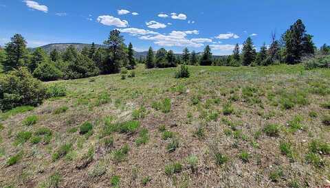 Lot 3B Rito Hondo Road, Antonito, CO 81120