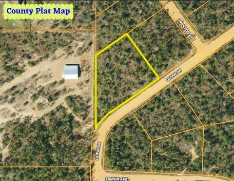 Lot 35 Olivia Drive, Alford, FL 32420