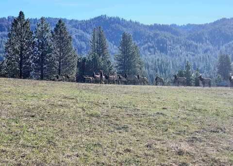 Lot 33 Tbd Scriver Woods Rd, Garden Valley, ID 83622