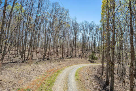 Lot 3 Tamarack Cir, Moneta, VA 24121