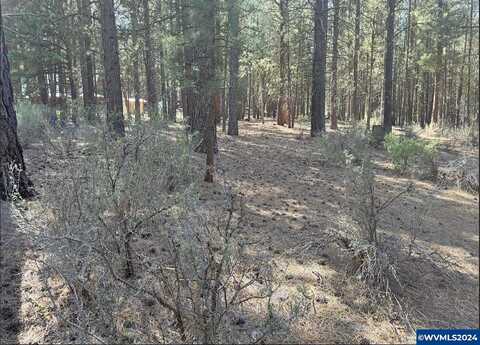 Lot 3 N Waterview Wy, Chiloquin, OR 97624