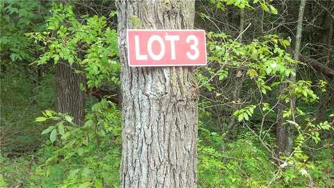 Lot 3 Bur Oak Trl, Grantsburg, WI 54840