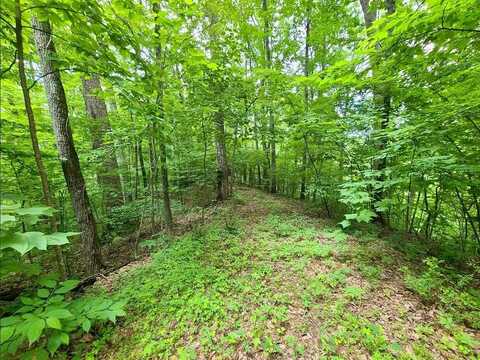 Lot 28 Sonshine Ridge Road, Cosby, TN 37722