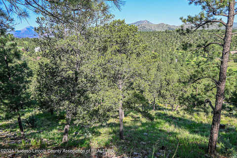 Lot 25 Holly Dr, Alto, NM 88312