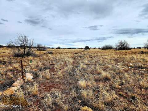 Lot 211 Dry Pasture Road, Heber, AZ 85928