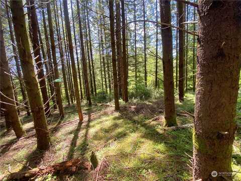 Lot 2 Roe Road, Winlock, WA 98596