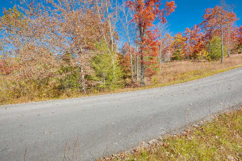 Lot 17 Colten Court, Unicoi, TN 37692