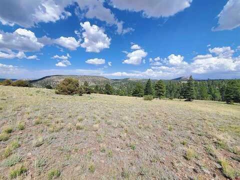 Lot 14 South Rito Hondo Court, Antonito, CO 81120