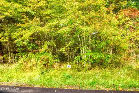 Lot 13 Old Mt Helen Rd, Allardt, TN 38504