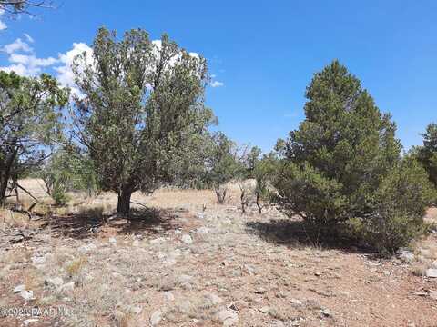 Lot 1177 Shadow Mountain Pkwy, Seligman, AZ 86337