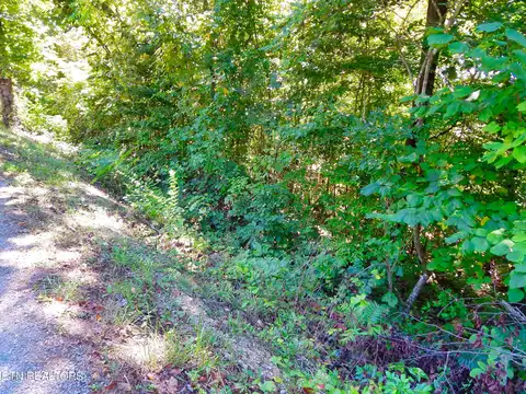 Lot 100/102 Jim Lee Ridge Rd, La Follette, TN 37766