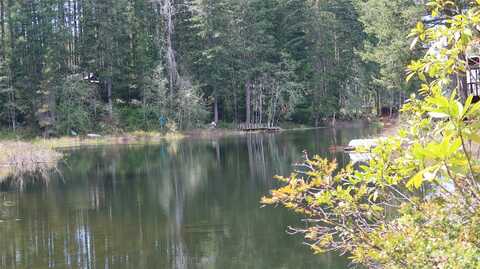 Lot 10 Ne Lakeview Pl, Tahuya, WA 98588