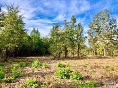 Lot 10 Bs Buffalo Ridge Rd, Pace, FL 32571