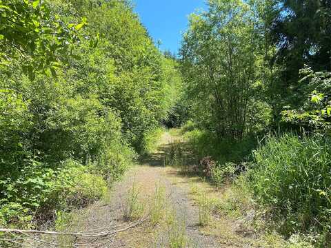 Lot 1 Roe Road, Winlock, WA 98596