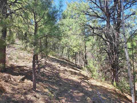 Lot 1 Rito Hondo Road, Antonito, CO 81120