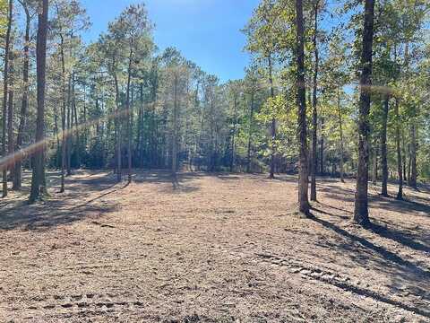 Lot 1 Fm 352, Corrigan, TX 75939