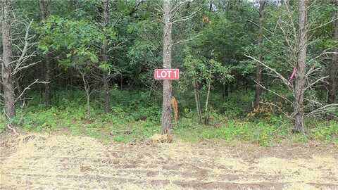 Lot 1 Bur Oak Trl, Grantsburg, WI 54840