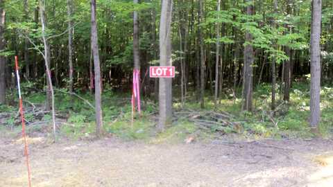 Lot 1 Aspen Ridge Trl, Siren, WI 54872