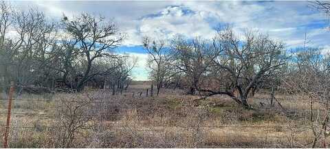 Lot # 5 County Road 418, May, TX 76857